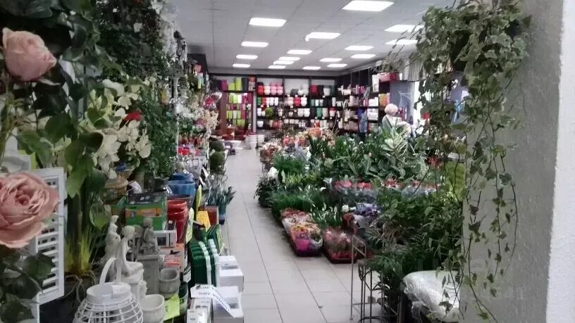 Карельский садовый центр шуйское ш 20 фото Помещение свободного назначения в Карелия, Петрозаводск Шуйское ш, 20 ., Аренда 