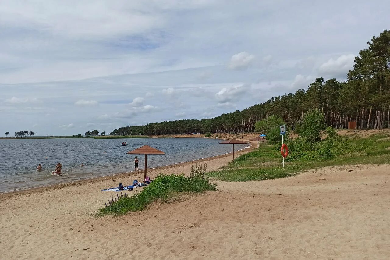 Карьер мечта калининград московский район фото Экоквесты, маршруты по лесу и шлагбаум": как благоустраивают зону отдыха рядом с