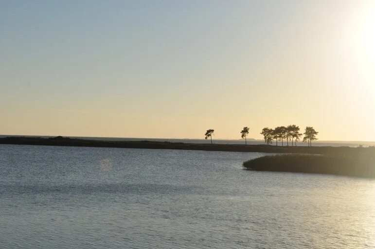 Карьер мечта калининград московский район фото Карьеры Мечта