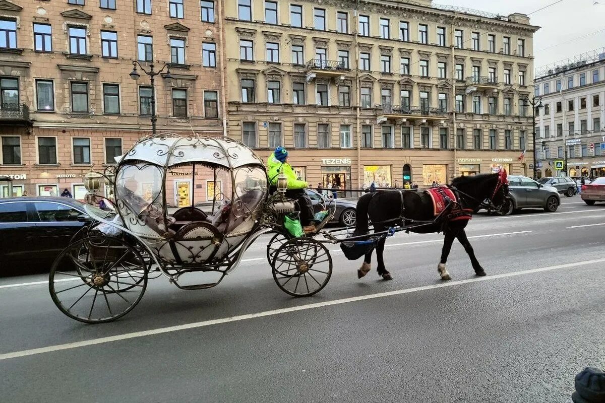 Карета невский просп 126 2 фото Обезумевшая от салюта лошадь снесла столик вместе с сидевшими за ним девушками н