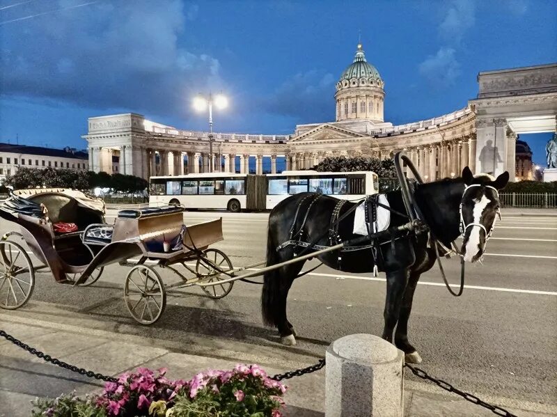 Карета невский просп 126 2 фото Экскурсии с частным гидом в Александро-Невскую лавру в Санкт-Петербурге - цены 2