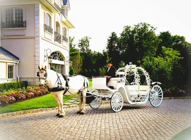 Карета с лошадьми фото Cinderella Carriage with white horse at #Park Chateau Wedding carriage, Wagon fo