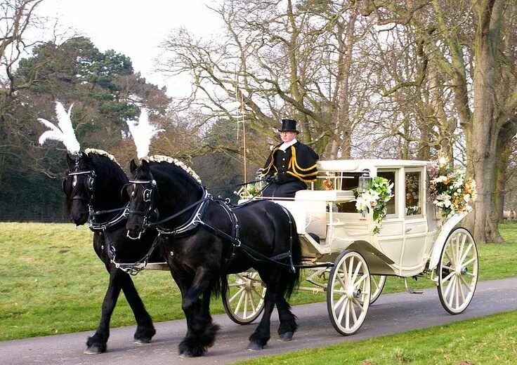Карета с лошадьми фото KRM Carriage Services, weddings, carriages, yorkshire Wedding carriage, Horse an