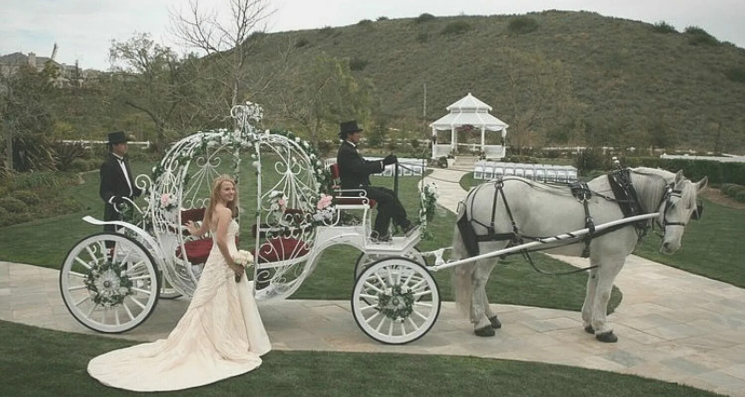 Карета с лошадьми фото Princess for a Day in Cinderella's carriage Wedding carriage, Wedding transporta