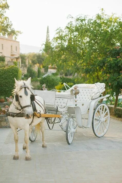 Карета с лошадьми фото Top 10 carriage wedding ideas and inspiration