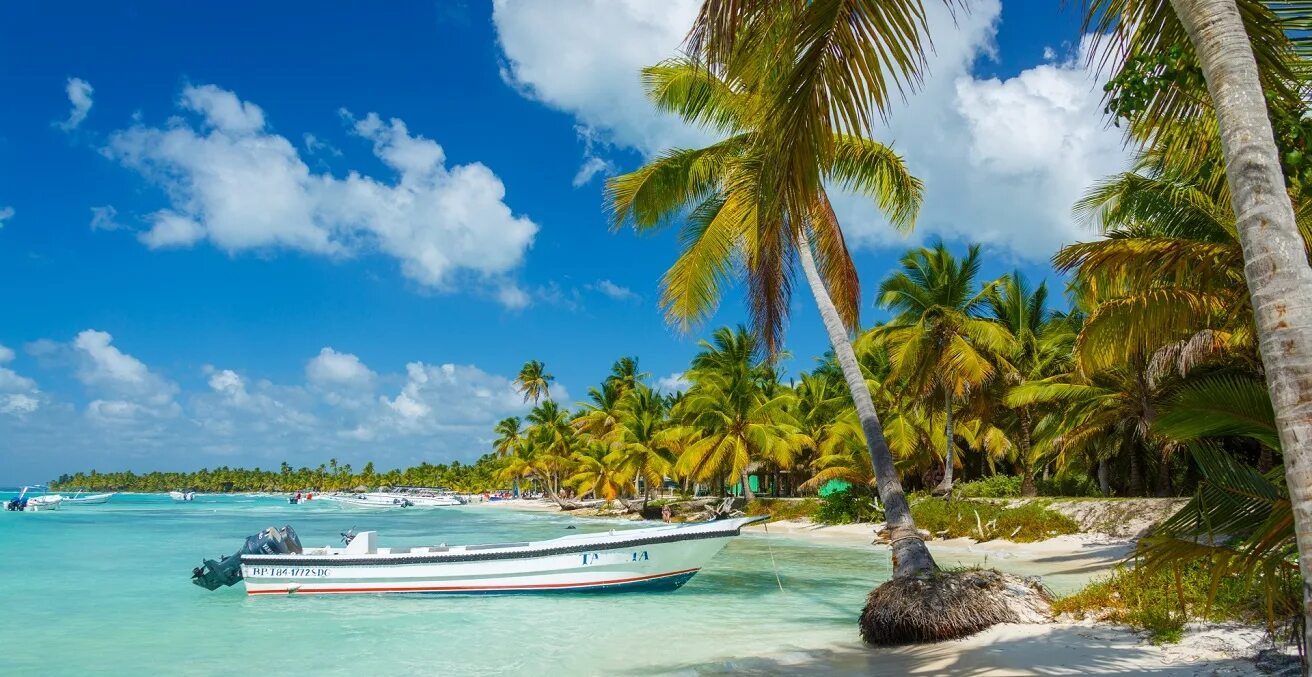 Карибские острова фото Rediscovering the True Caribbean - AIIA - Australian Institute of International 