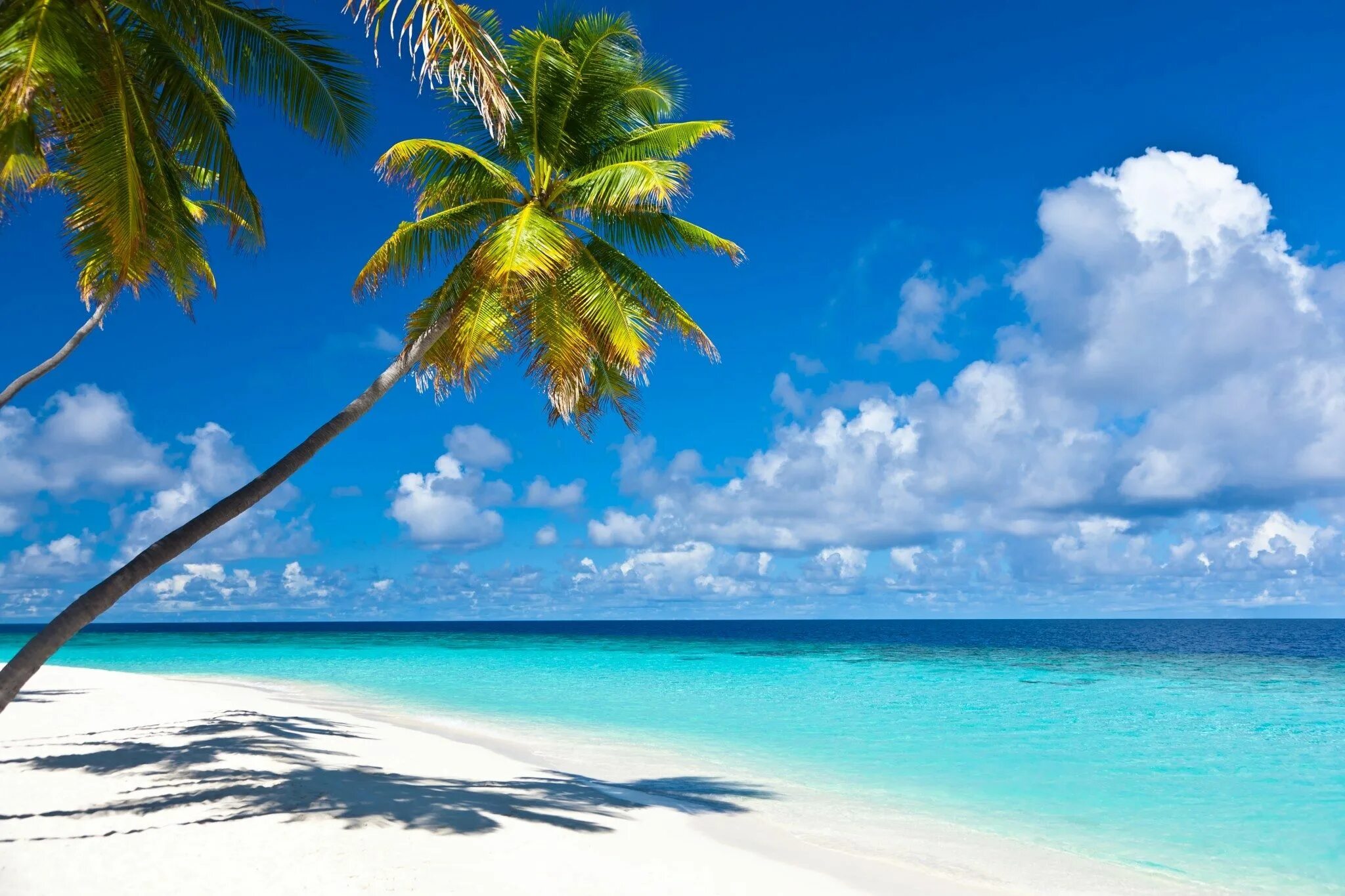 Карибы октябрьская ул 40 фото islands of the caribbean the caribbean is one of the most amazing places on eart