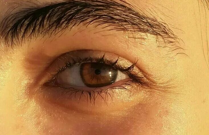 Карие глаза фото эстетика Pin on Dream boyfriend Brown eyes aesthetic, Brown eyes facts, Brown eyes tumblr