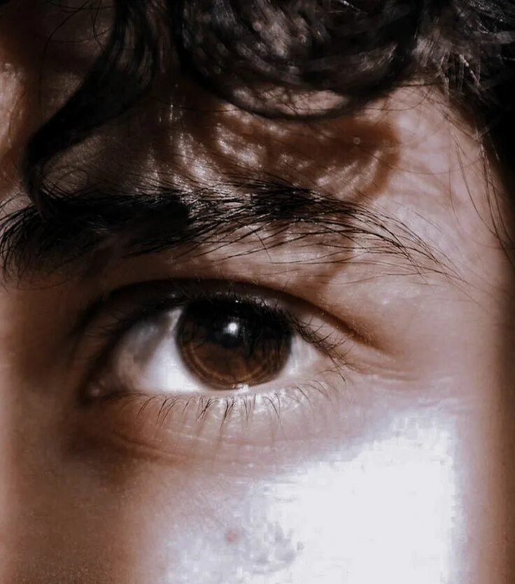 Карие глаза фото эстетика Pin on ╱ anne with an e Brown eyes aesthetic, Eye photography, Aesthetic eyes