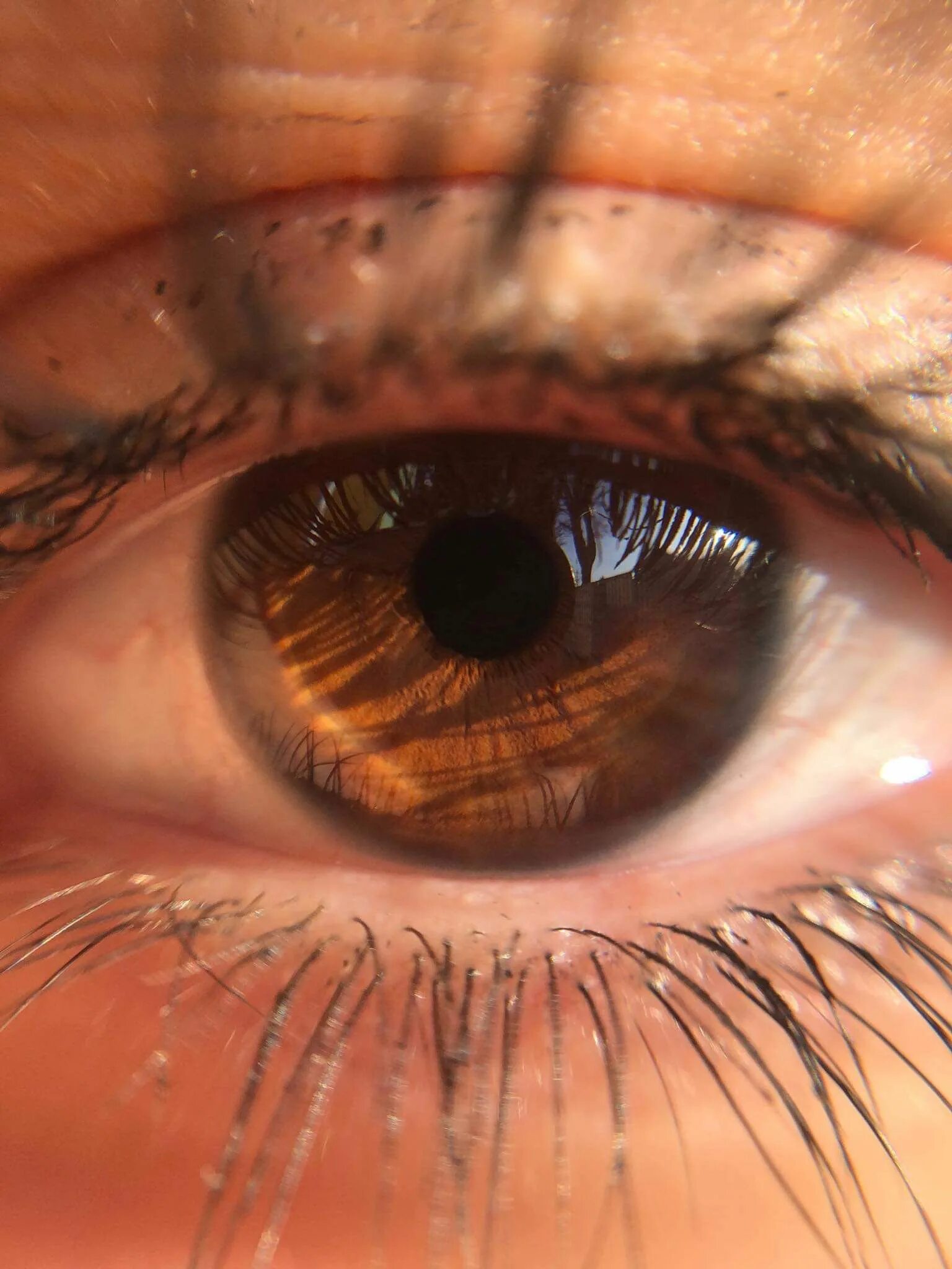 Карие глаза фото эстетика Pin su * Eyes * Occhi belli, Trucco occhi, Sfondi