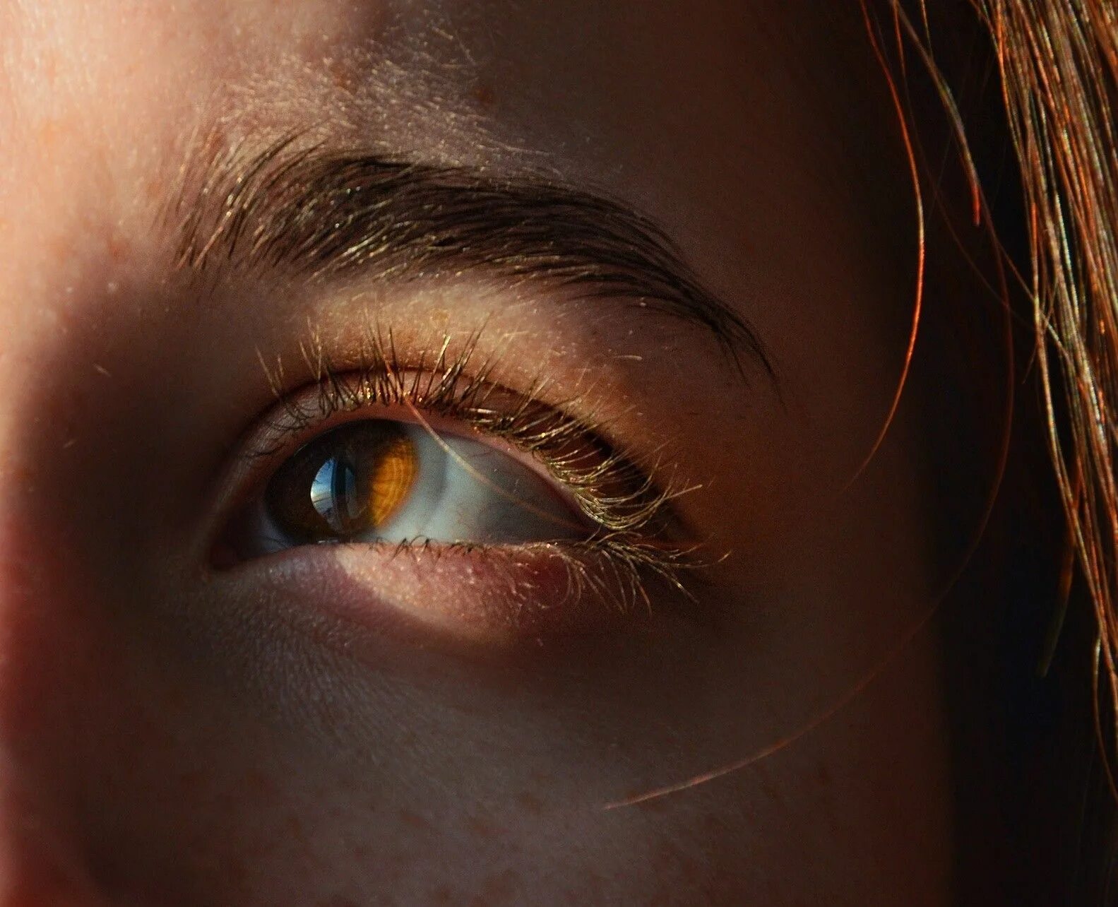 Карие глаза фото эстетика Pin by everyone hate arco;// on нуя Eye photography, Brown eyes aesthetic, Amber