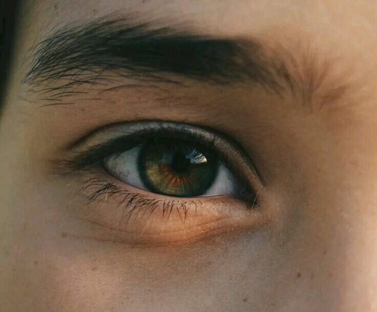 Карие глаза фото мужские Pin on الناس Aesthetic eyes, Eye photography, Beautiful eyes