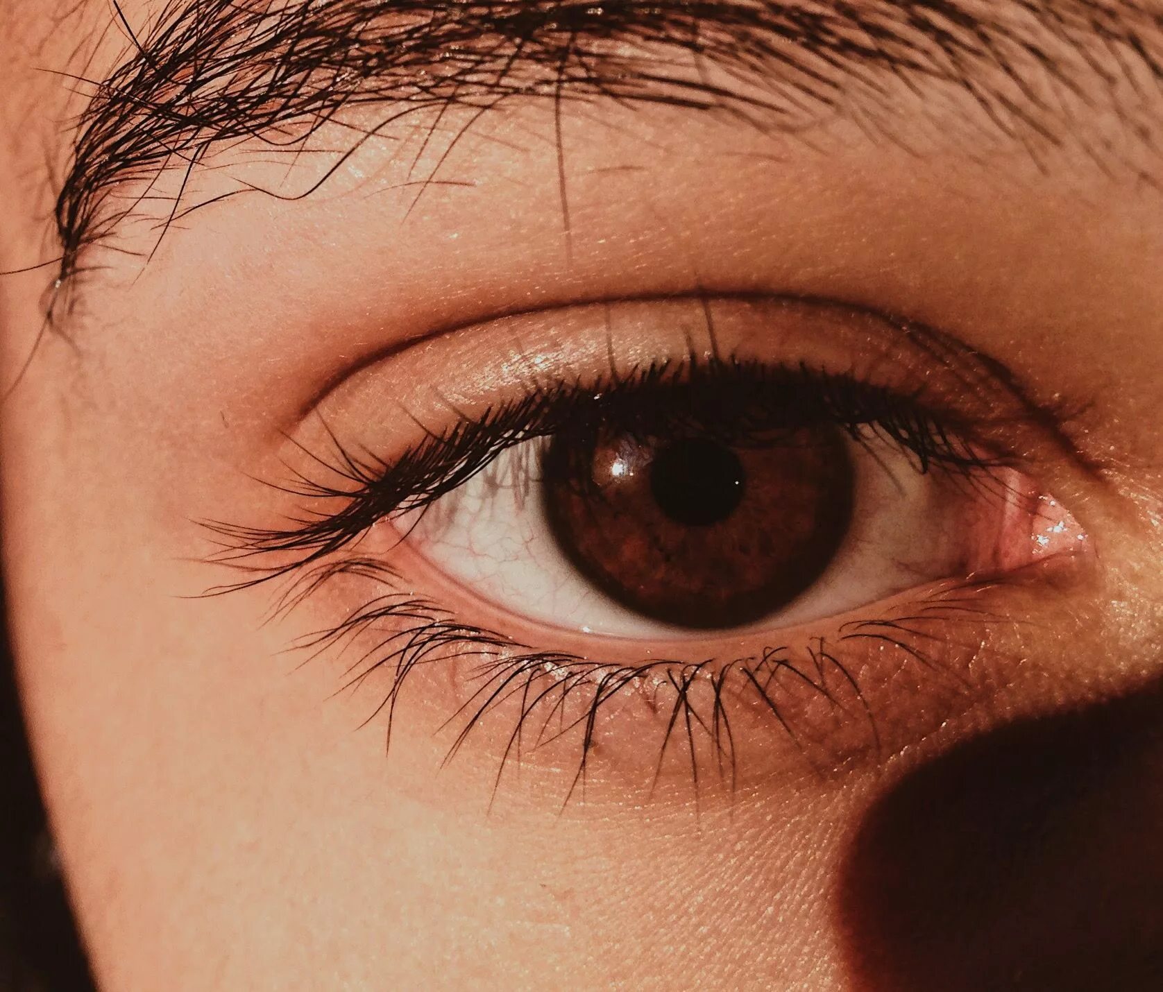 Карие глаза фото мужские Pin by Hanna Ferreira on bright eyes Brown eyes aesthetic, Brown eyes tumblr, Ae