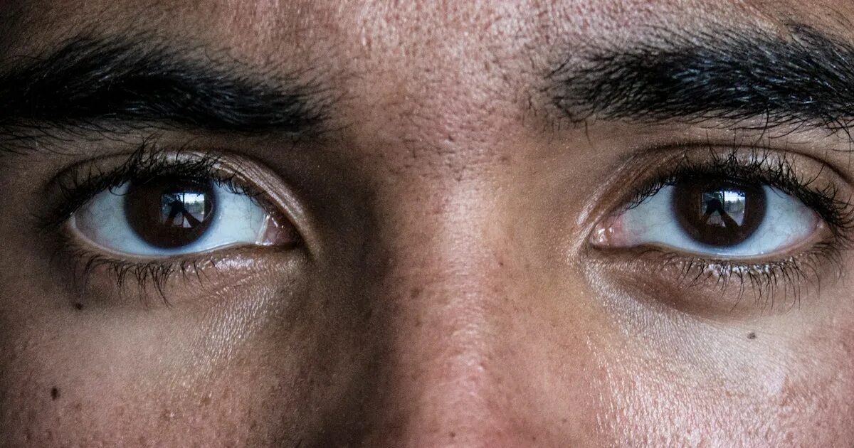 Карие глаза фото мужские How Injecting Eyes With Algae DNA and Viruses Could Reverse Blindness