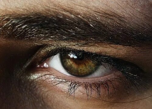 Карие глаза фото мужские Pin by Cari Kolipoki on PHOTOGRAPHY Brown eyes aesthetic, Aesthetic eyes, Dark h
