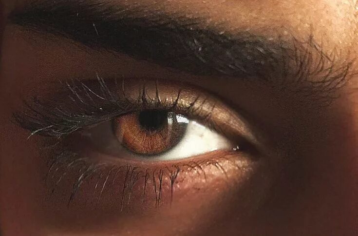 Карие глаза фото мужские Pin by Liz Parsons on aesthetic human in 2022 Brown eyes aesthetic, Aesthetic ey