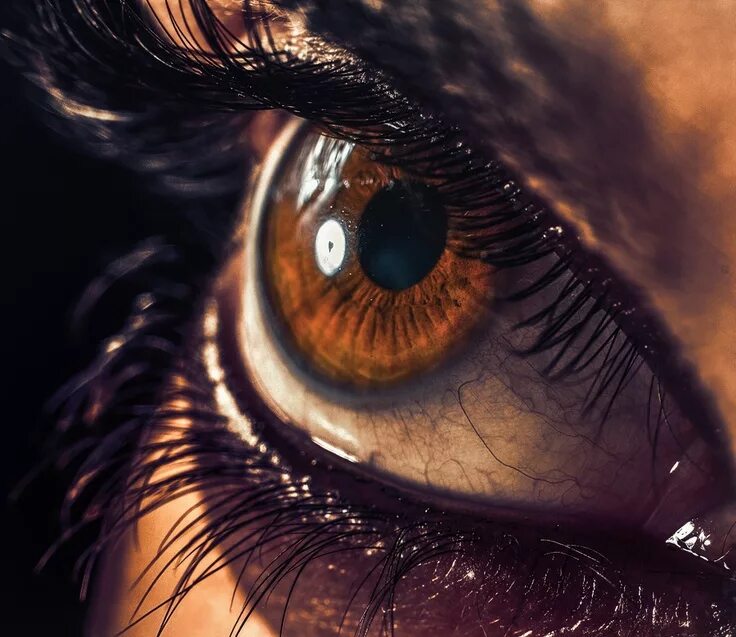 Карие глаза фото на аву We endured by Usman Khan, via 500px Beautiful brown eyes, Eye photography, Cool 
