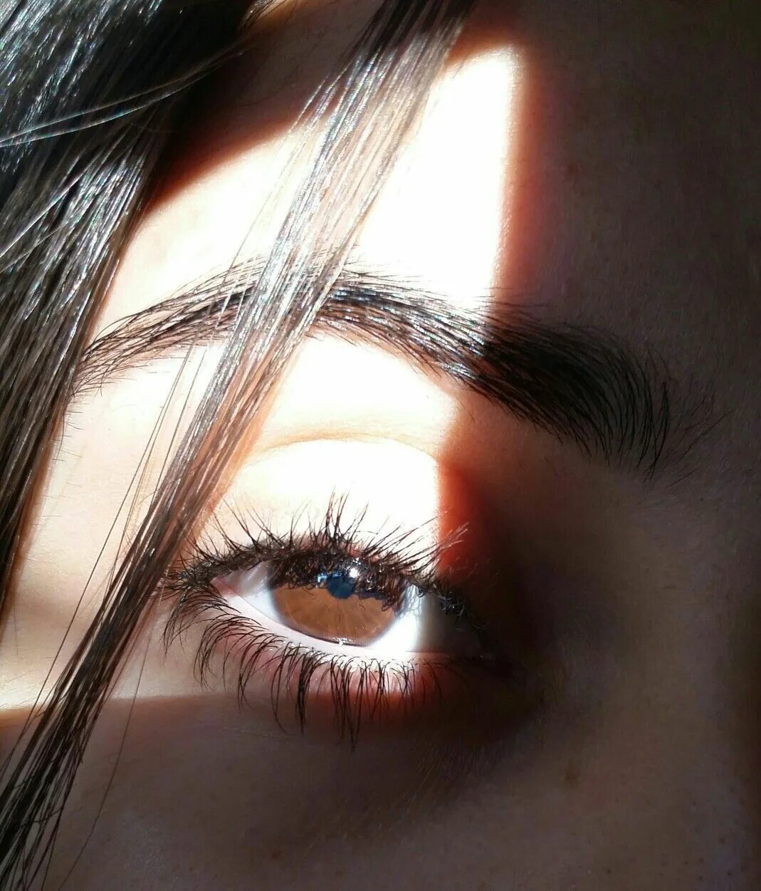 Карие глаза фото на аву Marrón beautiful eyes mytumbr ojos bonitos, anatomia ojos, ojos Aesthetic eyes, 