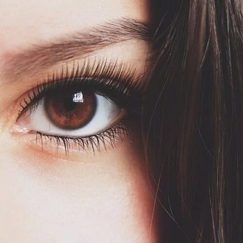 Карие глаза фото на аву Make-Up Tips for Brown Eyes - herinterest.com Brown eyes pop, Brown eyes aesthet
