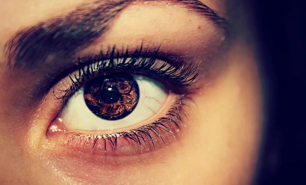 Карие глаза фото на аву Earth in the eye Il mondo dentro Laura Castagno Flickr