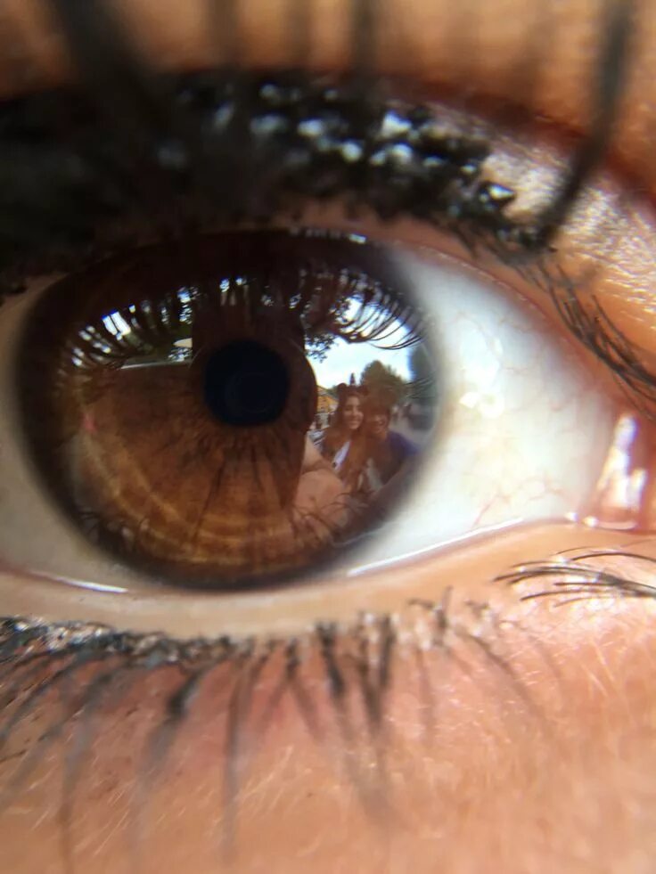 Карие глаза фото на аву Perspective Beautiful eyes color, Brown eyes aesthetic, Eye close up