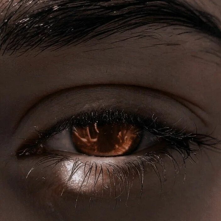 Карие глаза фото на черном фоне Pin by s on annora Werewolf aesthetic, Aesthetic eyes, Fantasy aesthetic
