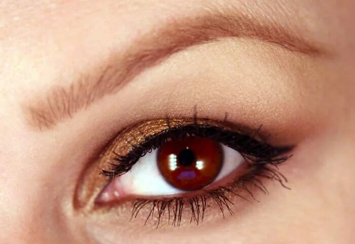 Карие глаза фото женские Макияж для карих глаз: пошаговые фотоуроки ALL-MODA.COM Makeup tutorial, Bronzed