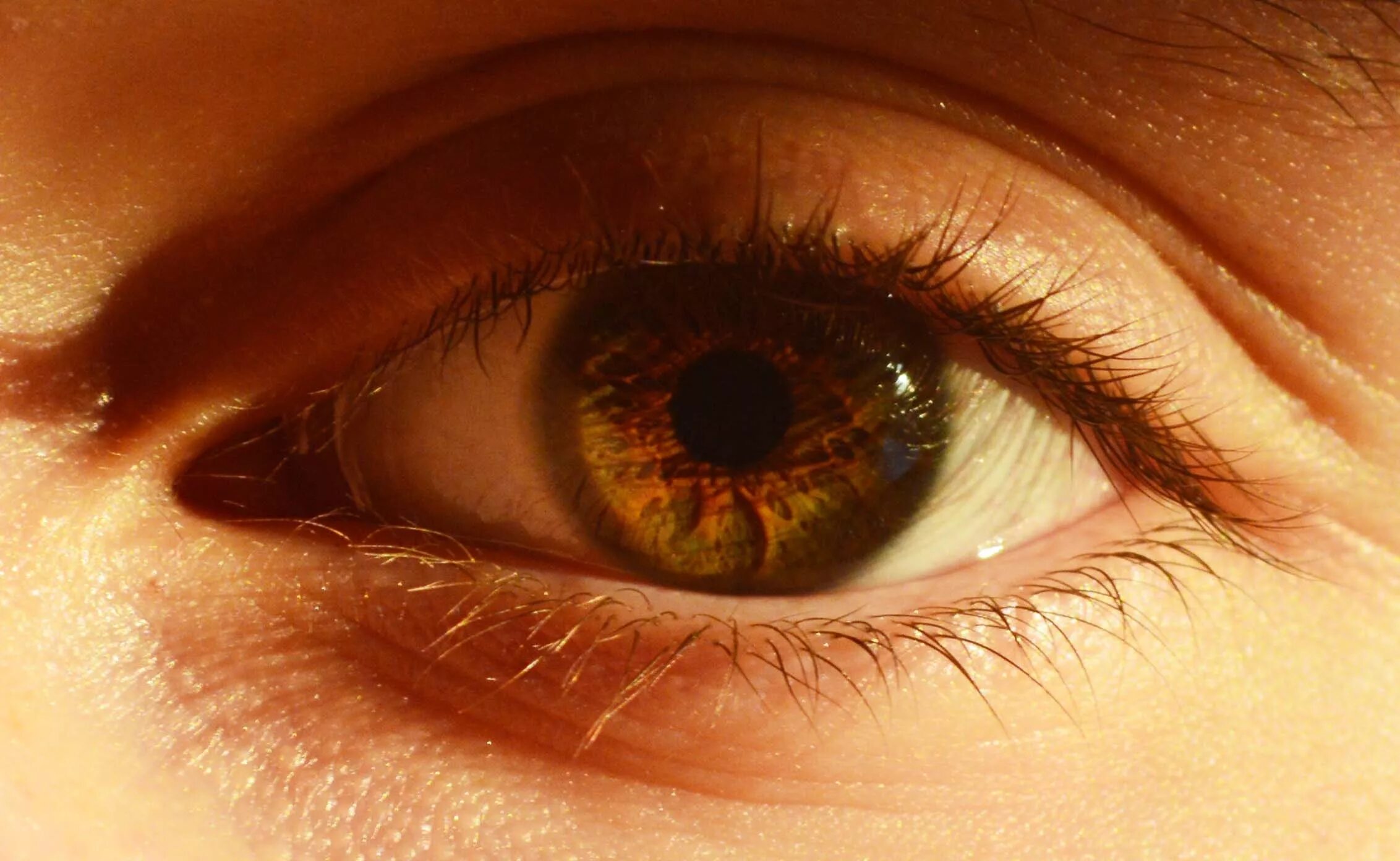 Карие глаза фото женские вблизи Free Images : brown, eyebrow, mouth, close up, human body, face, nose, iris, eye