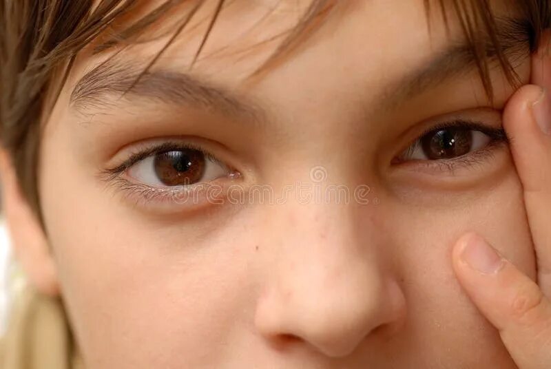 Карие глаза мальчика фото Brown eyes stock photo. Image of expression, details - 22078430