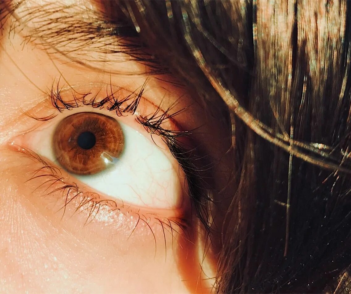 Карие глаза на солнце фото ivatalie VSCO Brown eyes aesthetic, Aesthetic eyes, Pretty eyes