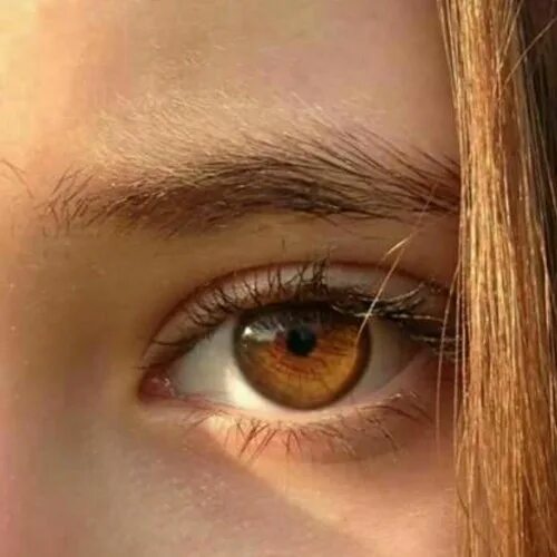 Карие глаза на солнце фото Stream Карие Глаза (Prod Soft Clipper x iDek) by shiwasakii Listen online for fr