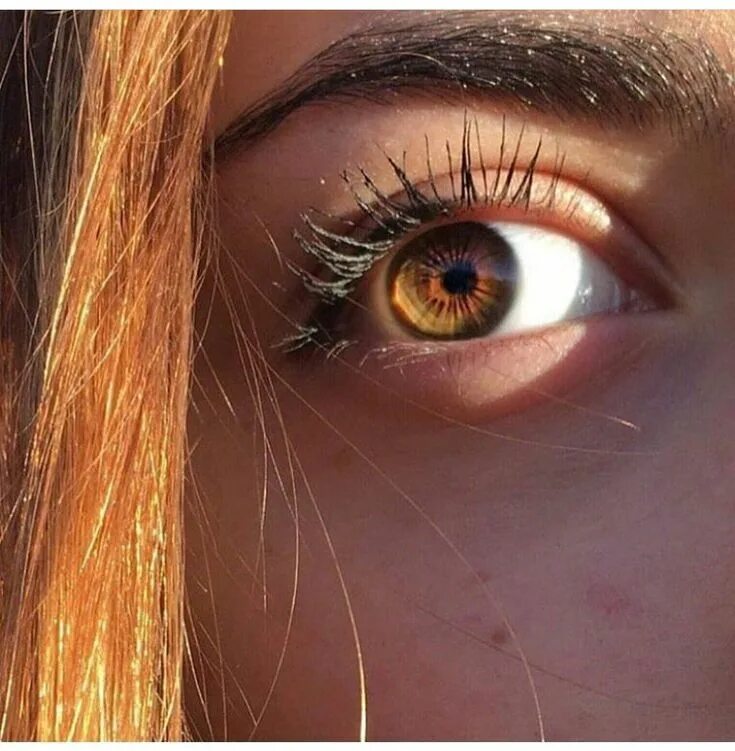 Карие глаза на солнце фото Pin by Прусова АНАСТАСИЯ on Фотографии Brown eyes aesthetic, Aesthetic eyes, Bea