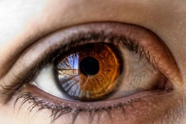 Карие глаза на солнце фото 20 Great Close-up Photos of Eyes Photos of eyes, Eye photography, Aesthetic eyes