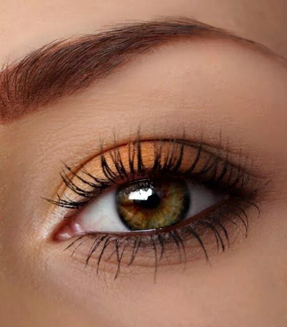 Карие глаза оттенки фото Makeup Style Fall eye makeup, Hazel eye makeup, Daytime eye makeup