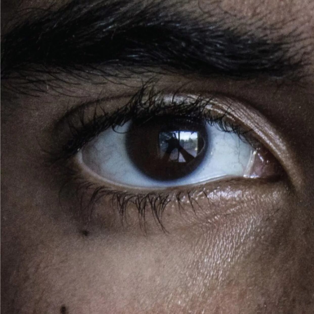 Карие глаза у человека фото Why Eye Exams Are the Future of Alzheimer’s Screening Aesthetic eyes, Pretty eye