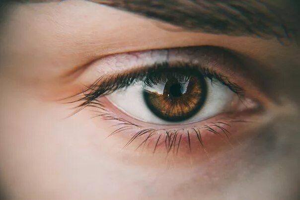 Карие глаза у человека фото Photography / NASTYA SENSEI Charming eyes, Aesthetic eyes, Pretty eyes