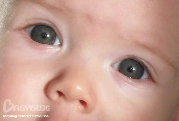 Карие глаза у новорожденного фото Про цвет глаз - 28 ответов форум Babyblog