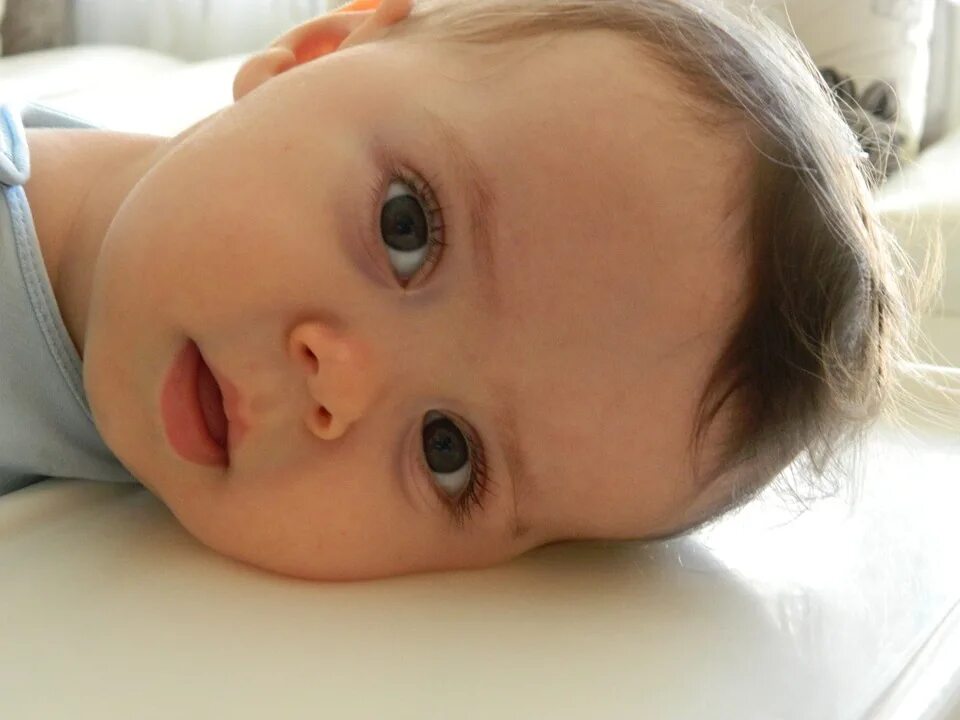 Карие глаза у новорожденного фото Laugh Bamo Child Sensitivity Baby-12 Inch BY 18 Inch Laminated Poster With Brigh