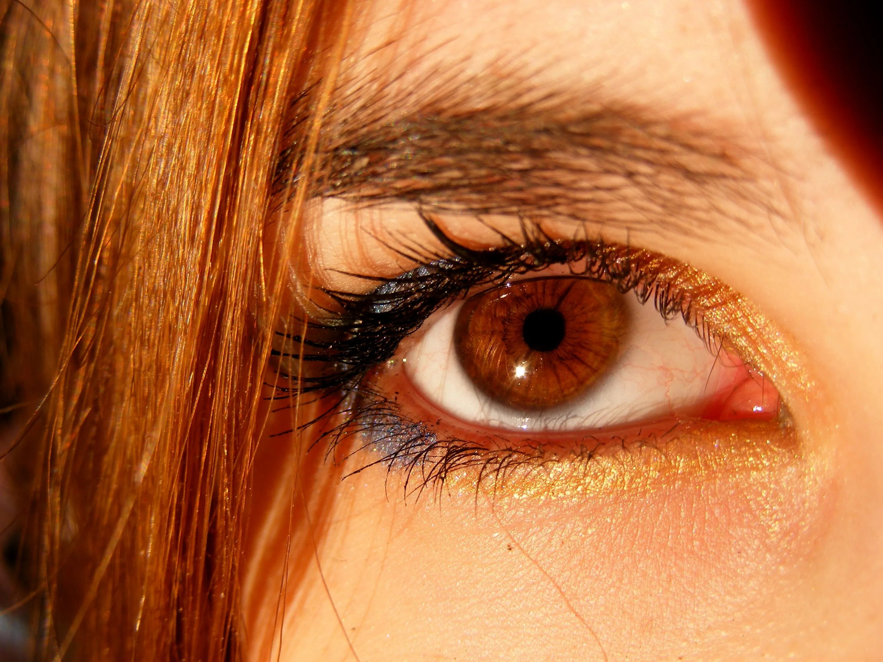 Карие карие и рыжие фото Brown Eyes Iris free image download
