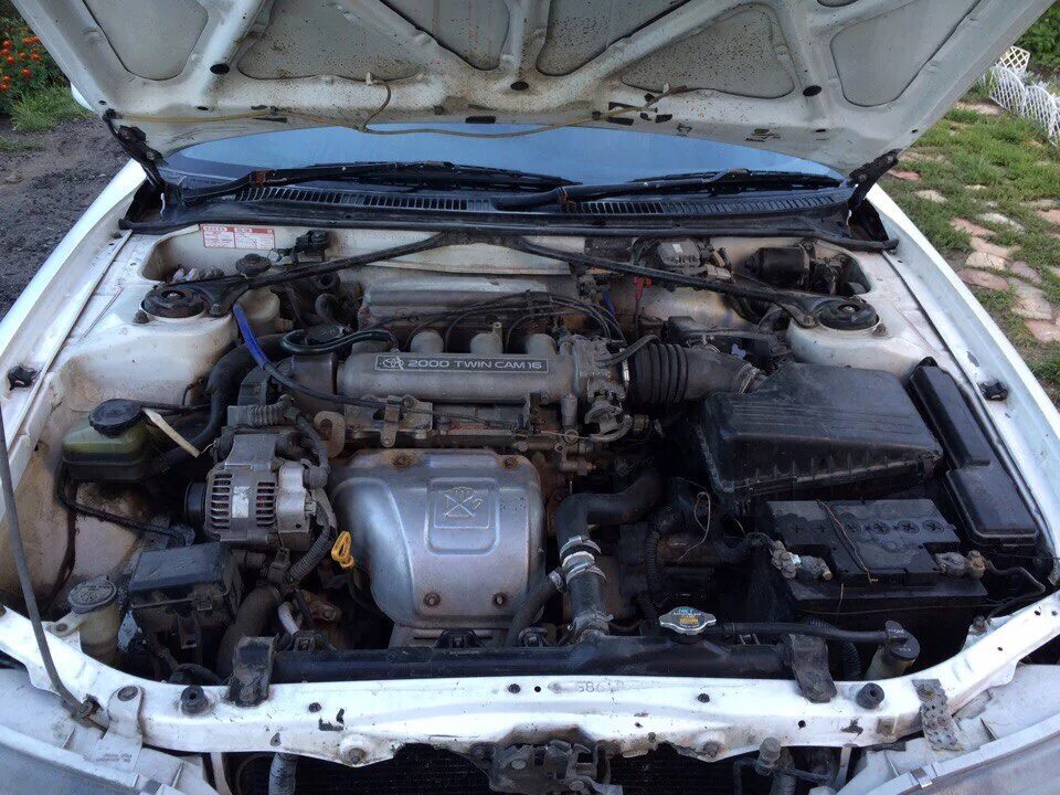 Карина фото двигателя #1. Покупка Carina ED ST202 - Toyota Carina ED (3G), 2 л, 1994 года покупка маши