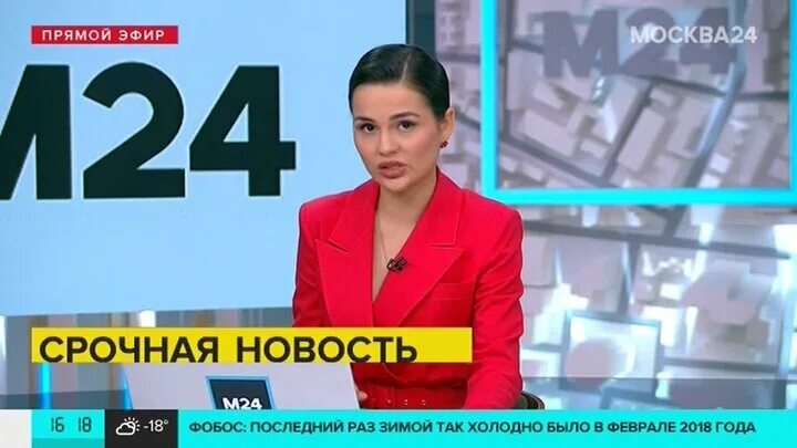 Карина ильина ведущая россия 1 фото Свыше 40 авиарейсов задержали и отменили в Москве - Москва 24, 17.01.2021