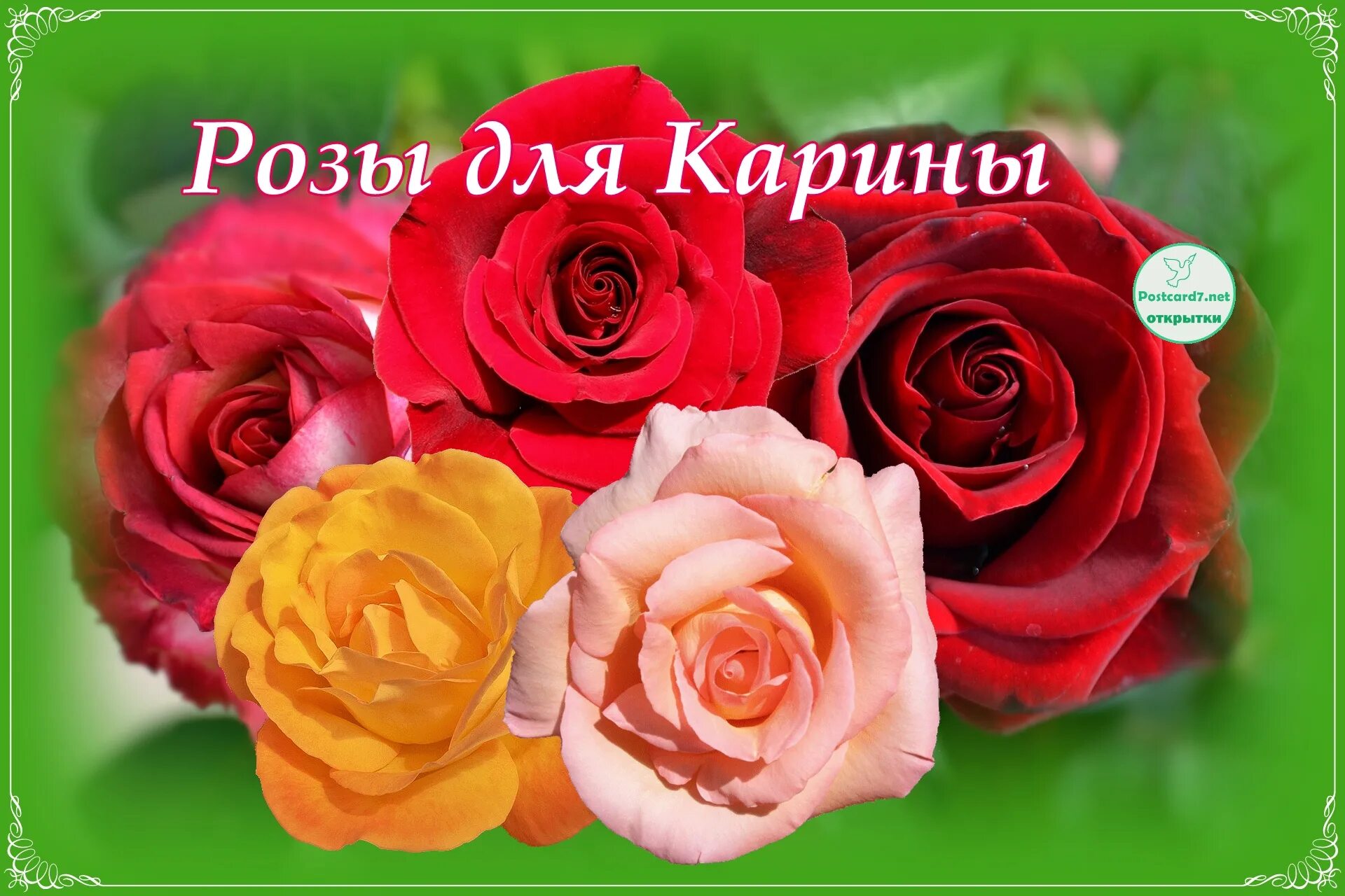 Карина с днем рождения картинки прикольные Розы для Карины - Открытки к празднику