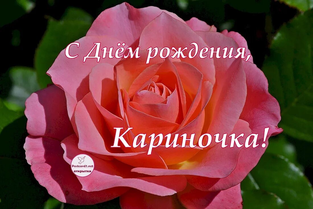 Карина с днем рождения картинки прикольные С днем рождения кариночка - 48 шт