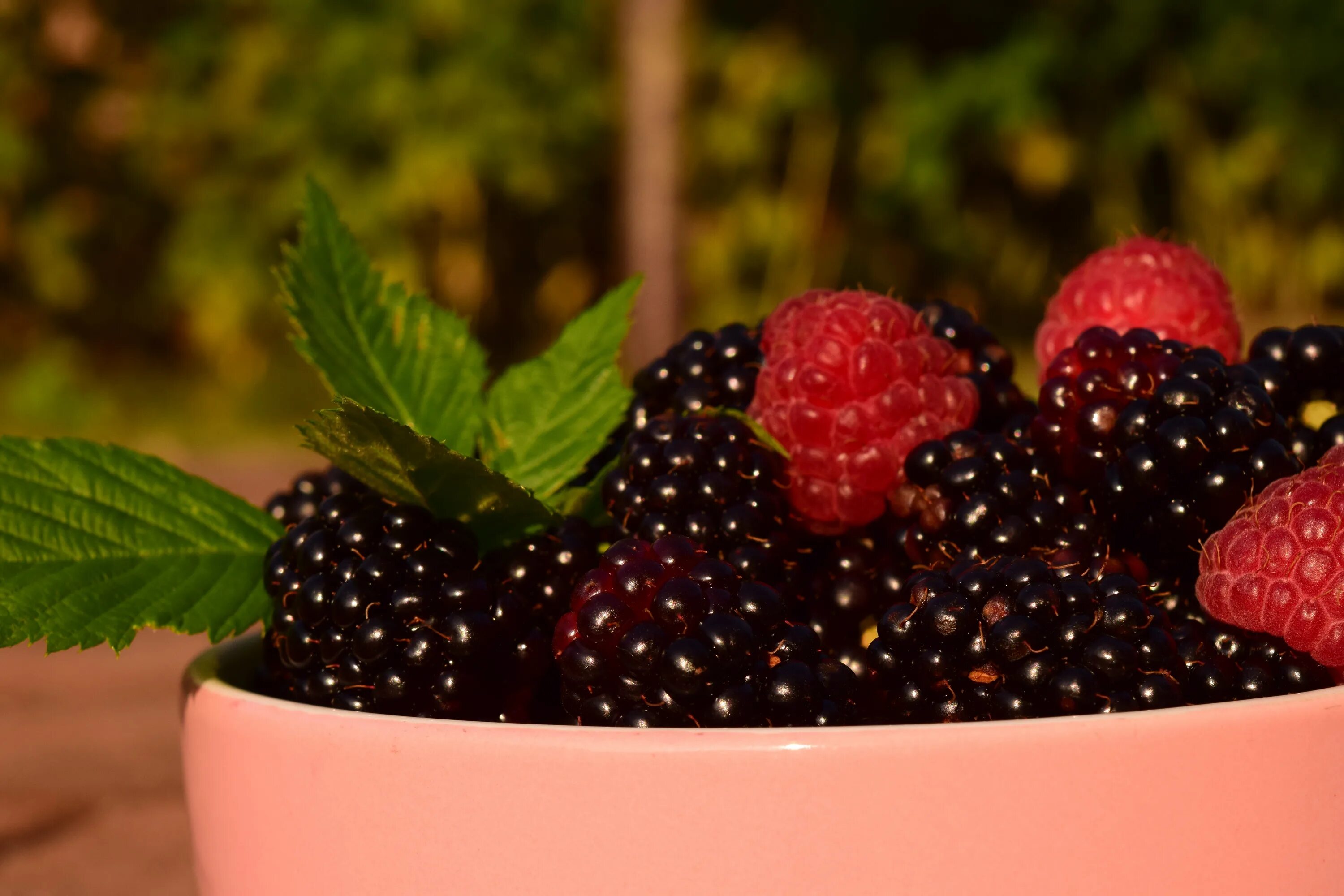 Каринка ягода фото Free Images : plant, raspberry, fruit, berry, food, harvest, produce, dessert, s