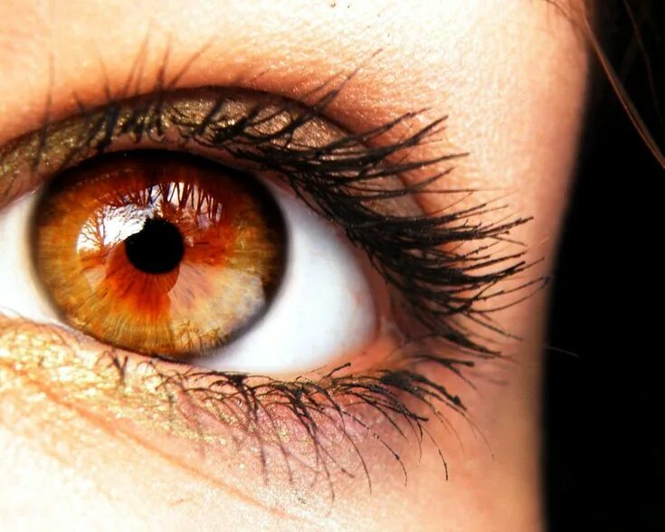 Карий цвет глаз фото amber eyes II by Helen-Carter on DeviantArt Amber eyes color, Rare eye colors, A