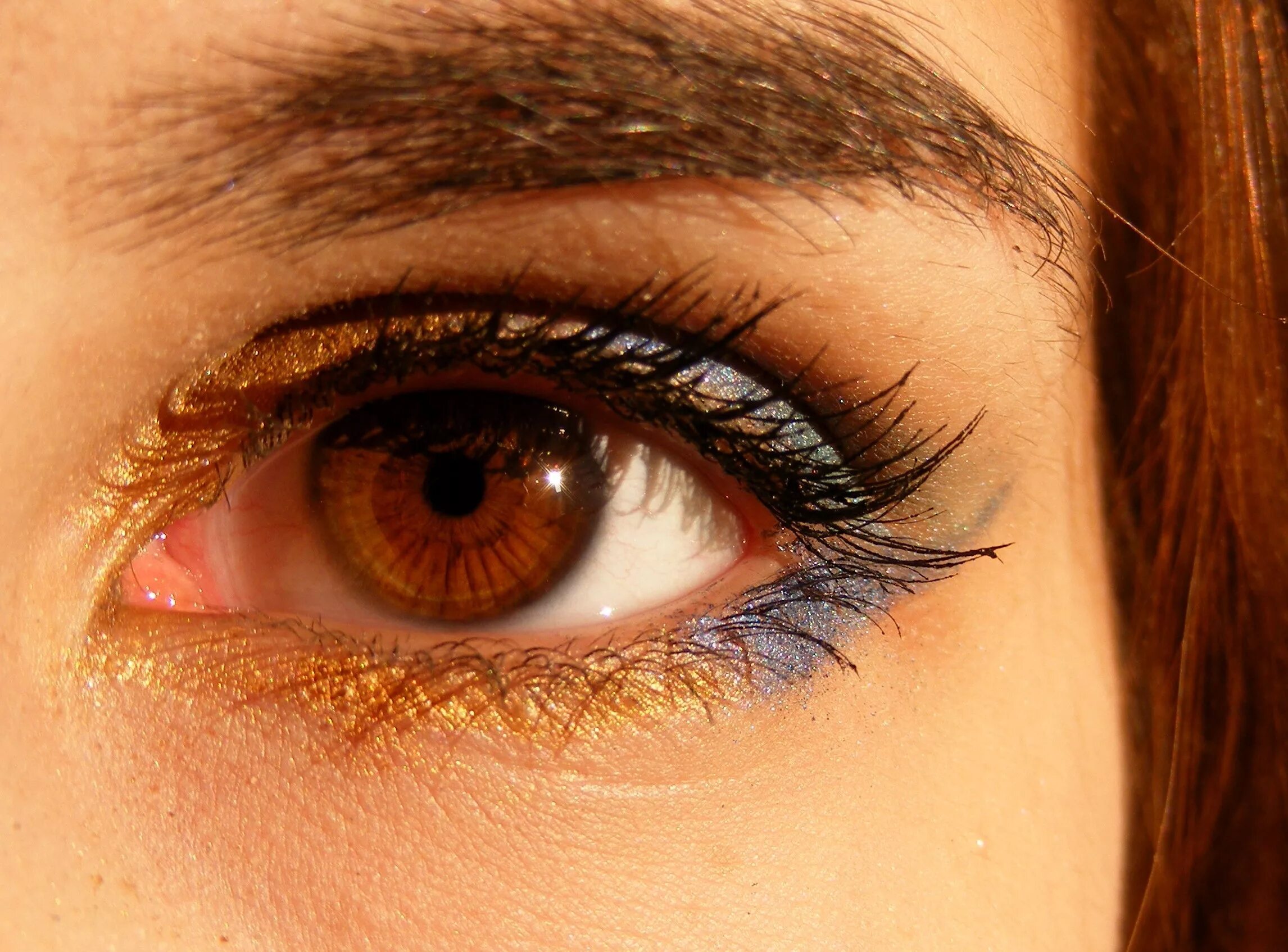 Карий цвет глаз фото Free Images : person, girl, color, brown, eyebrow, make up, close up, human body