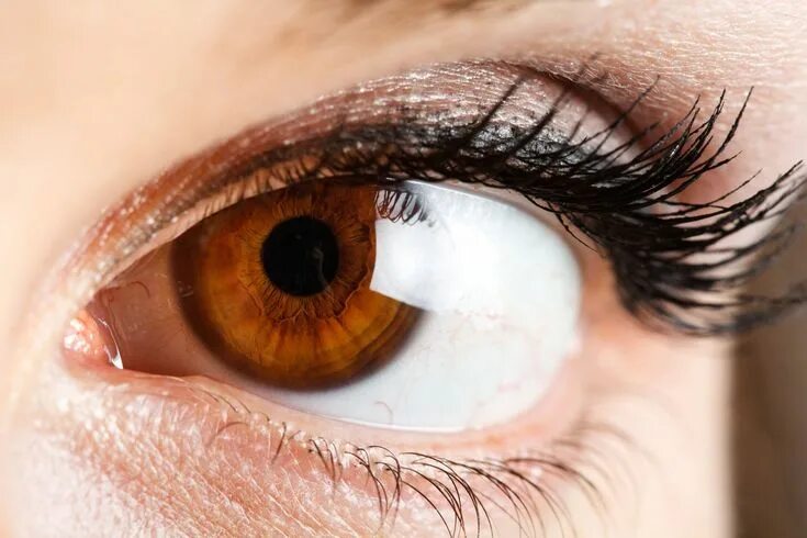 Карий цвет глаз фото Related image Brown aesthetic, Aesthetic, Eyes