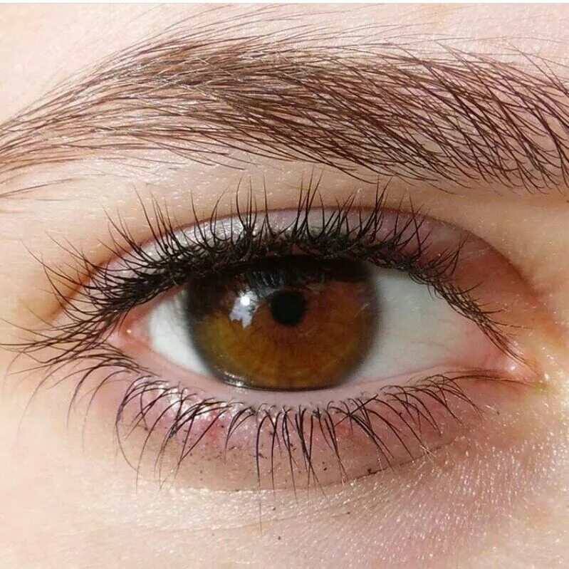 Карий цвет глаз фото Aah I love this shade of brown! Eye color change, Eye color, Color change