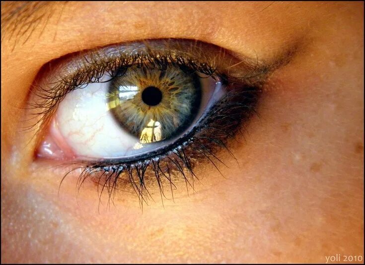 Карий цвет глаз фото His eyes stay mostly grey/blue, hers are really green with a ring ( mistakenly h