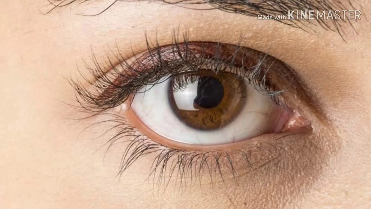 Карий цвет глаз фото Get brown eyes fast faster for people with blue eyes - YouTube